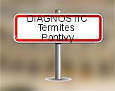 Diagnostic Termite ASE  à Pontivy